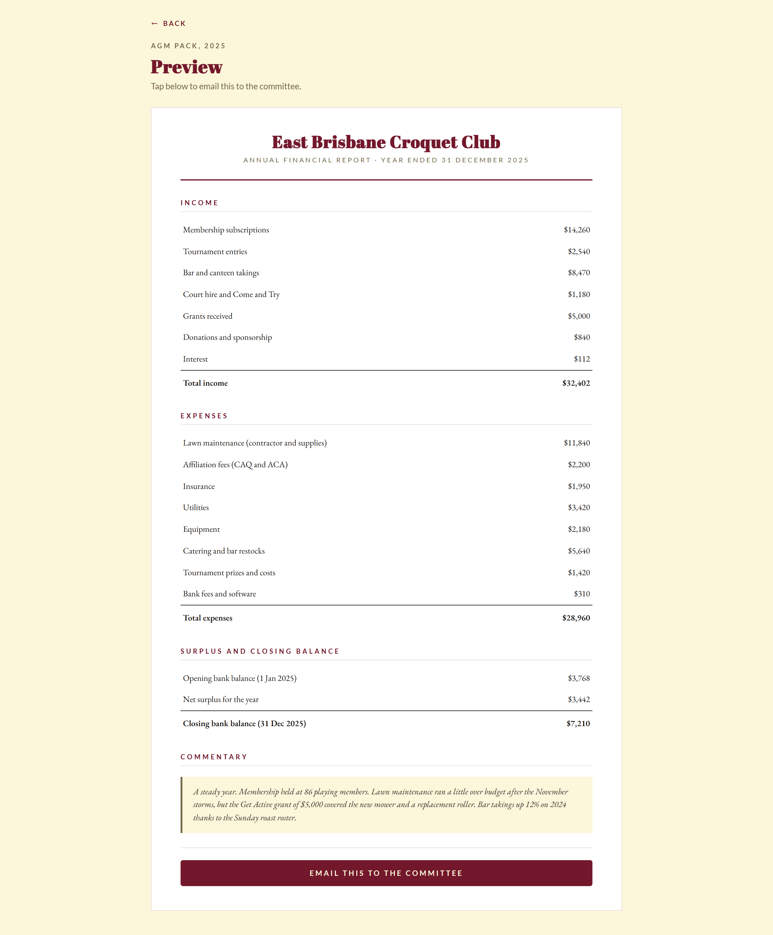 AGM report preview