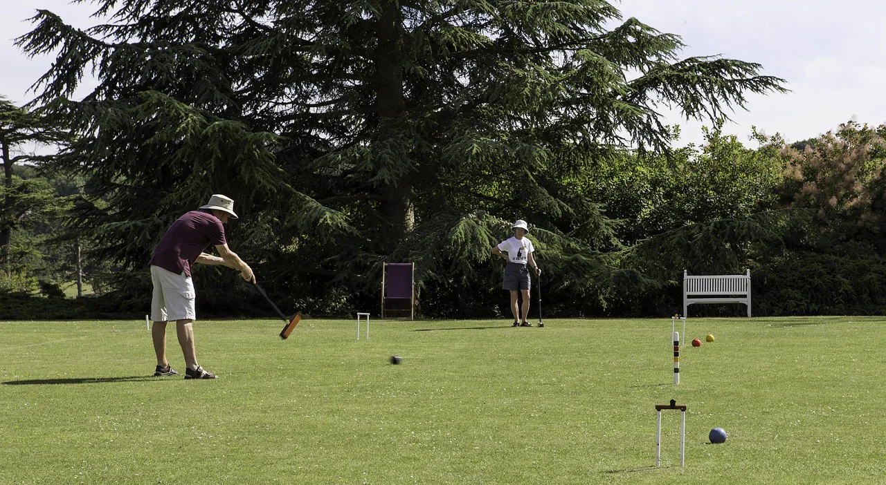 Competitive croquet