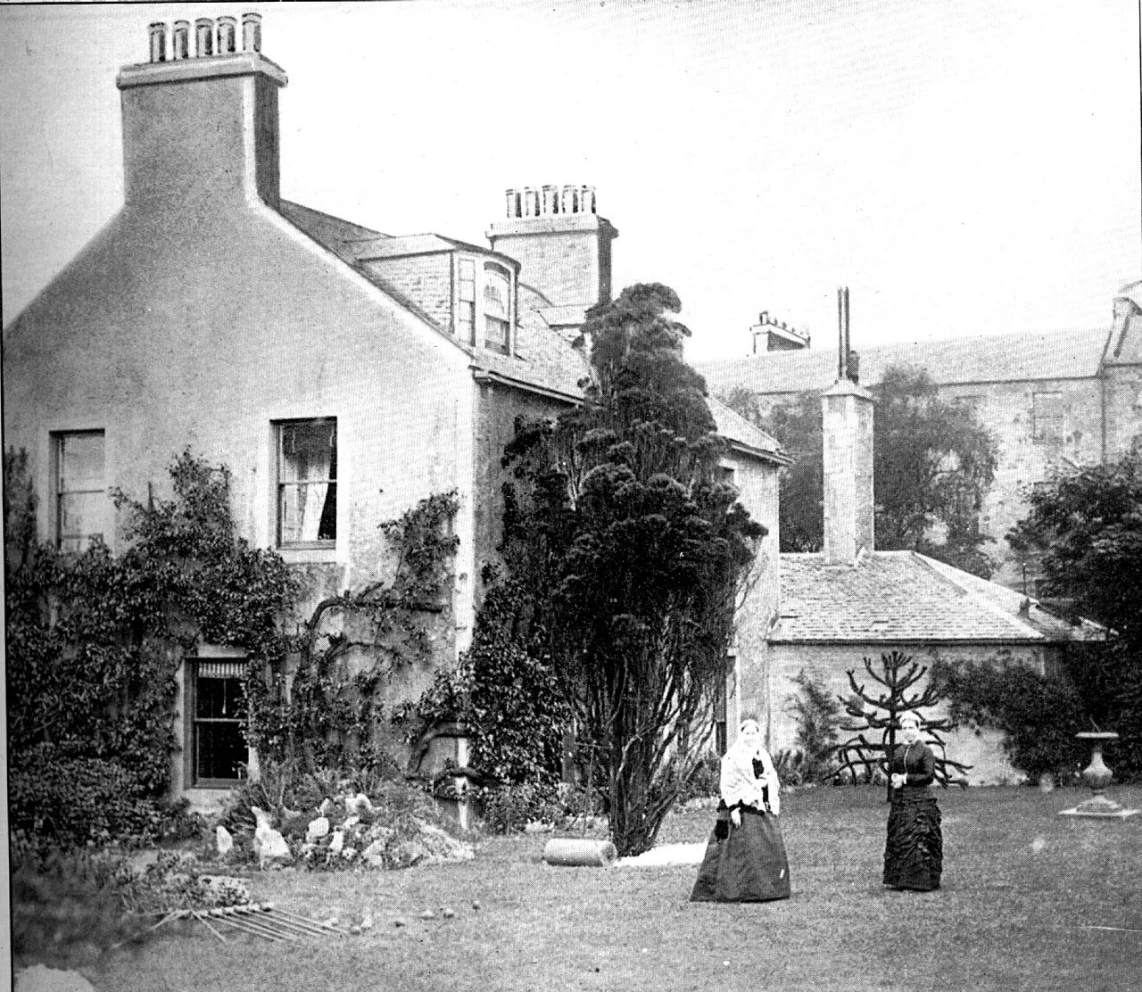 Croquet lawn
